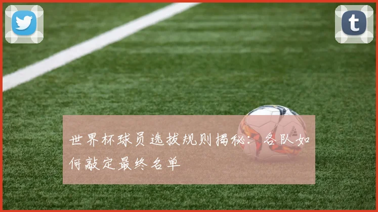 世界杯球员选拔规则揭秘:各队如何敲定最终名单