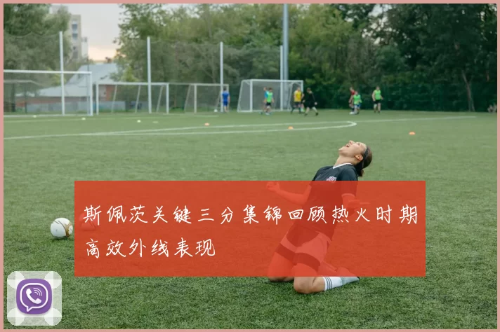 斯佩茨关键三分集锦回顾热火时期高效外线表现