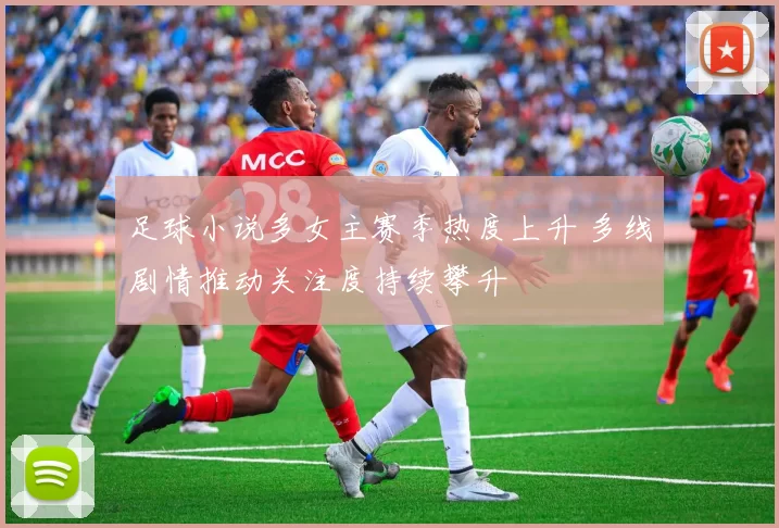 足球小说多女主赛季热度上升 多线剧情推动关注度持续攀升