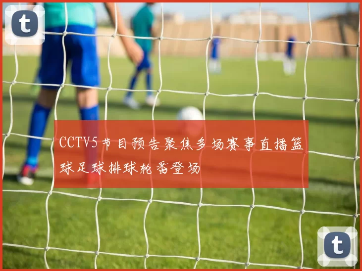 CCTV5节目预告聚焦多场赛事直播篮球足球排球轮番登场